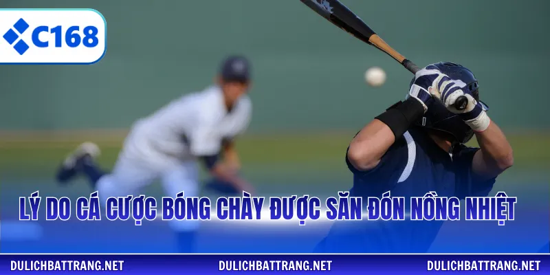 Lý do cá cược bóng chày được săn đón nồng nhiệt